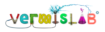 logo vermislab